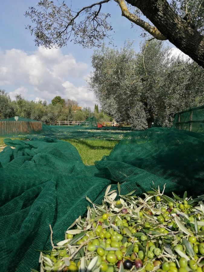 Il Podere Di Sole Роккастрада Екстер'єр фото