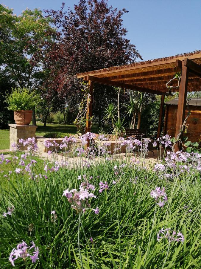 Il Podere Di Sole Роккастрада Екстер'єр фото